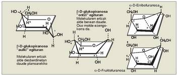 8. Irudia: �Aulki� eta �ontzi� eraketak piranosa motako eraztunetan. �Kartazal� eraketa furanosa motako eraztunetan.<br>Planoaren gainean dauden multzoak marra jarraituaz daude markatuta, planotik behera daudenak, berriz, marra etenaz.<br>Aipatzekoa da 1 eta 4 karbonoek piranosetan duten kokaleku nabarmena, eta karbono anomerikoak (1. pentosetan eta 2. hexosetan) furanosetan dutena.<br>